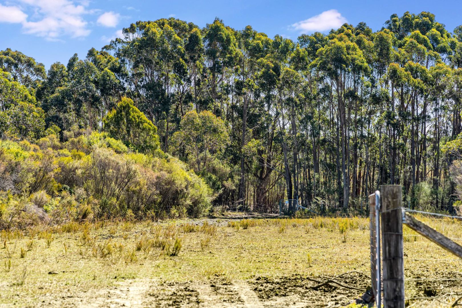 Additional image 16 of 610 Cloonty Road, Carrington Falls NSW 2577