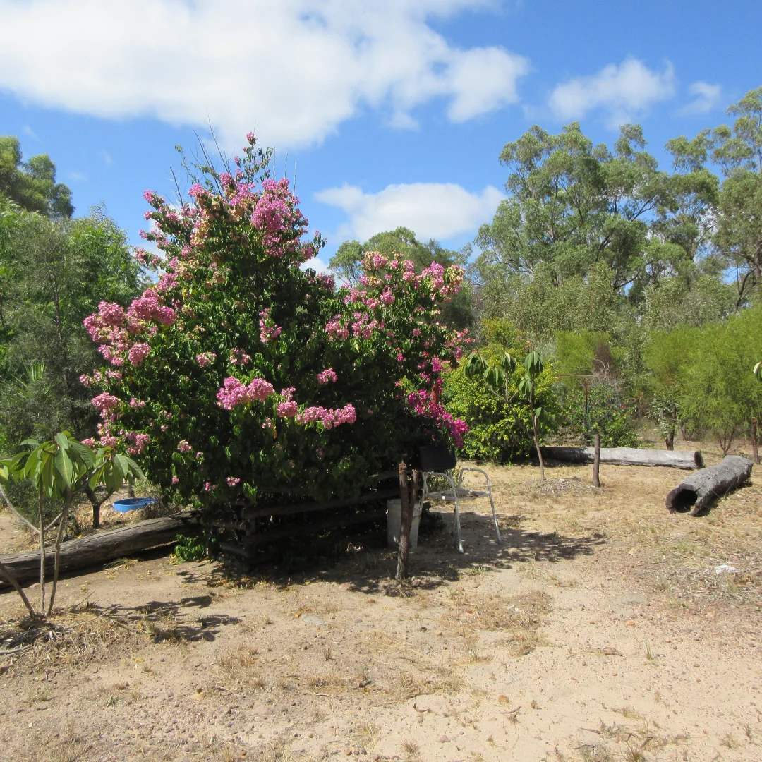 Additional image 18 of Tara QLD 4421