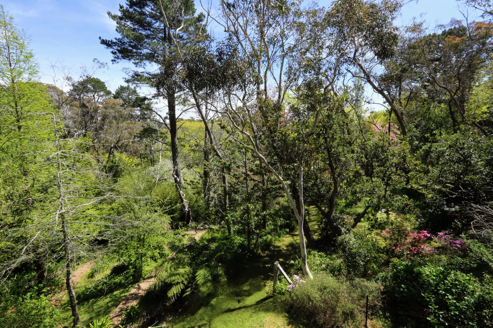 Additional image 27 of 3 Wentworth Ave, Leura NSW 2780