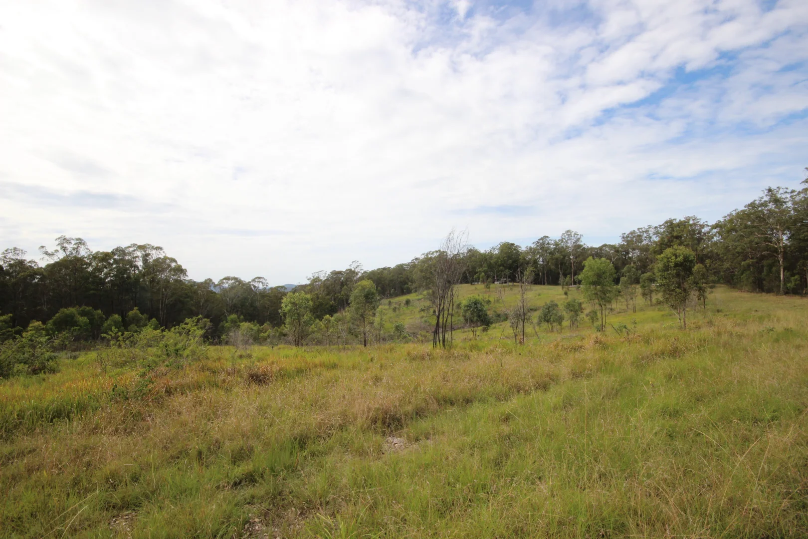 Additional image 6 of 702 Comboyne Road, Byabarra NSW 2446