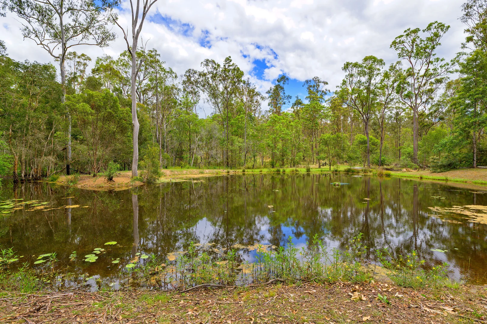 Additional image 18 of 15 Arborseventeen Road, Glenwood QLD 4570