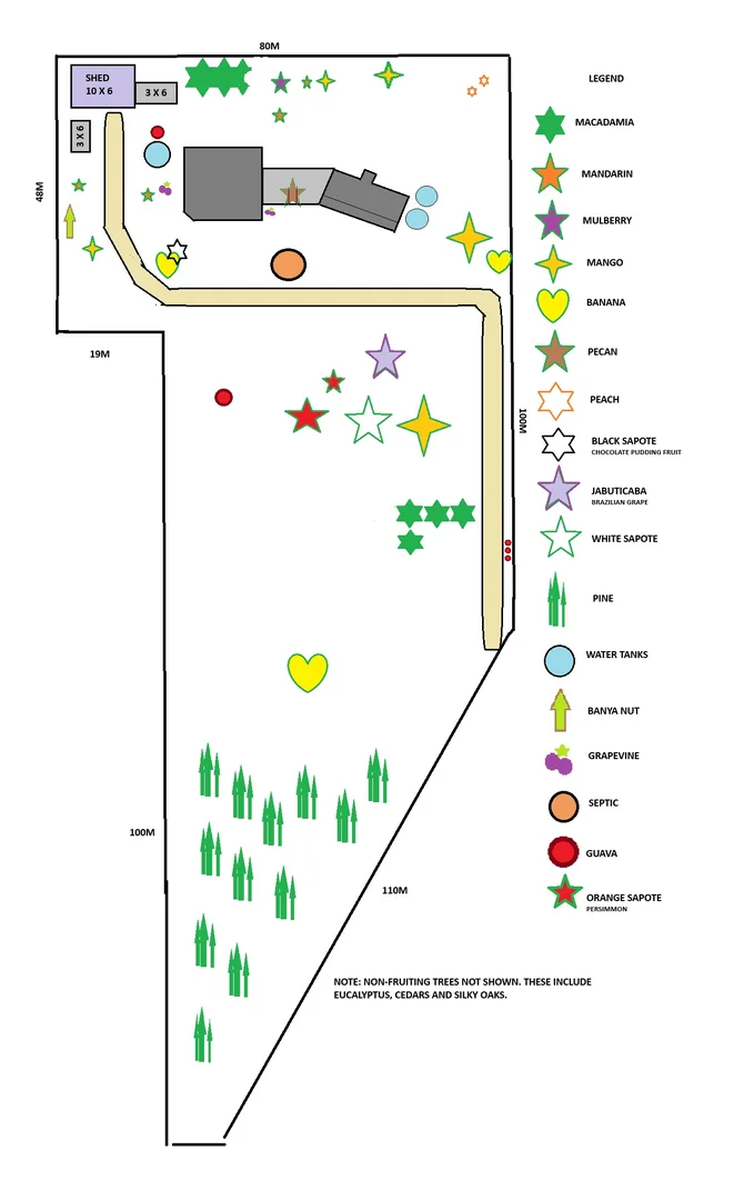 Additional image 26 of 75 Williams Road, Woodburn NSW 2472