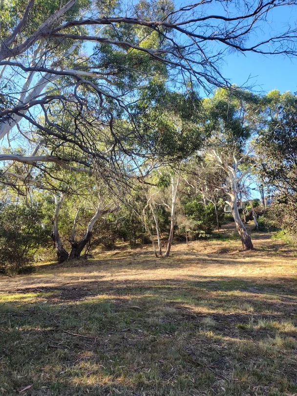 12-14 Church street, Dodges Ferry TAS 7173