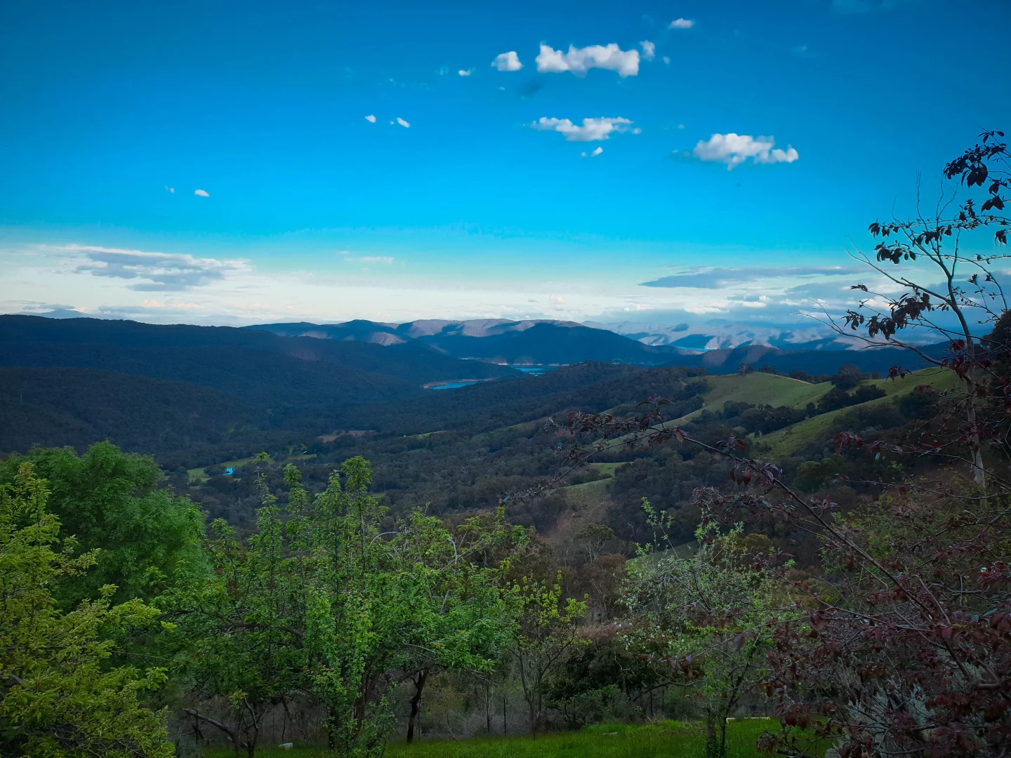 Additional image 23 of 1814 Maintongoon Road, Maintongoon VIC 3714