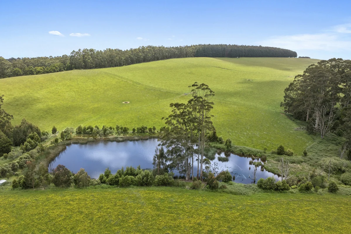 Additional image 32 of 4230 Colac-Lavers Hill Road, Weeaproinah VIC 3237