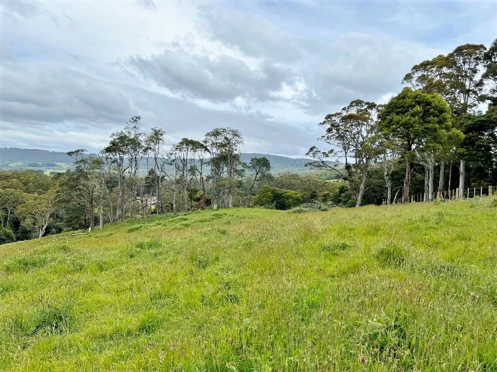 Lot 2/Part of 116680 Tasman Highway, Weldborough TAS 7264