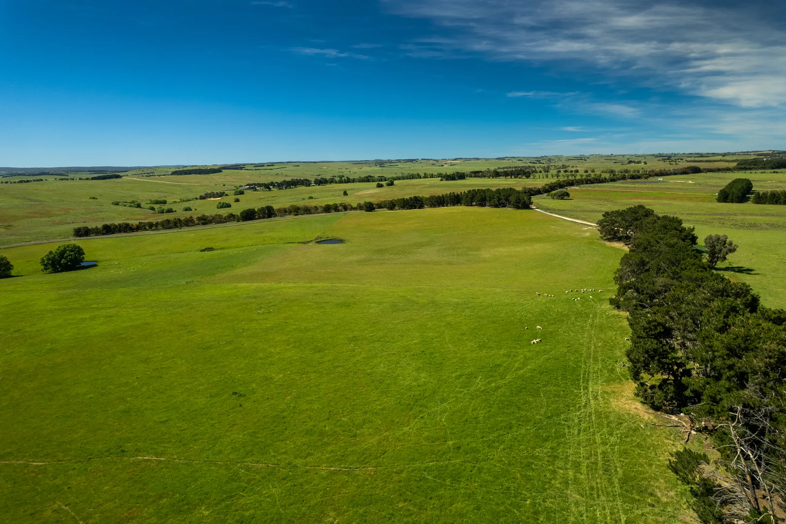 Additional image 12 of 21 Bolong Road, Golspie NSW 2580