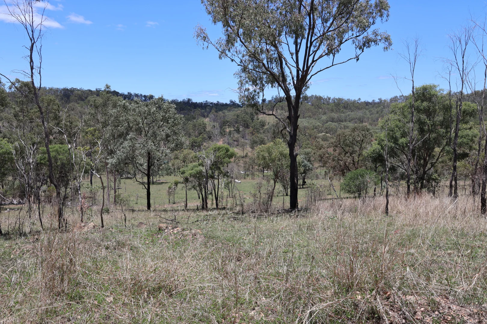 Additional image 12 of Lot 33, 34 & 35 Bilboolan Road, Mungy, Mount Perry QLD 4671