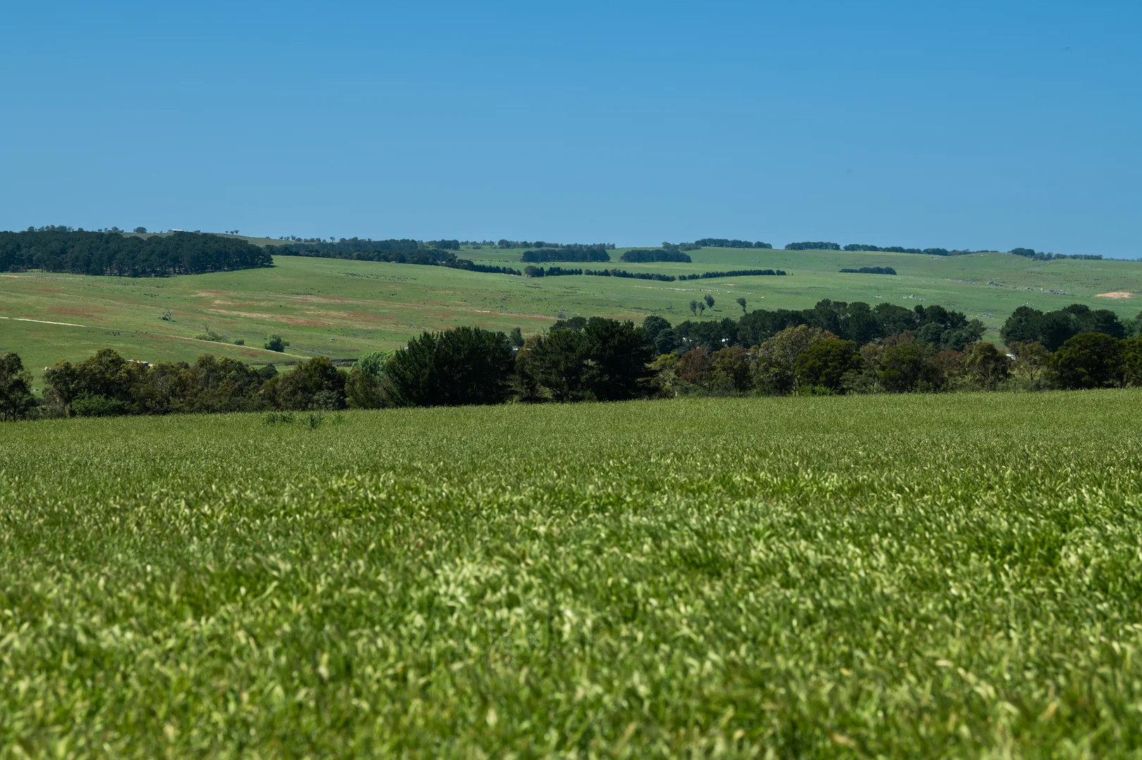 Additional image 14 of 21 Bolong Road, Golspie NSW 2580