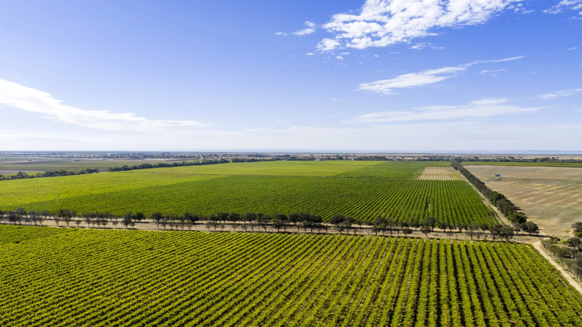 Additional image 2 of 261 Marandoo Road, Langhorne Creek SA 5255