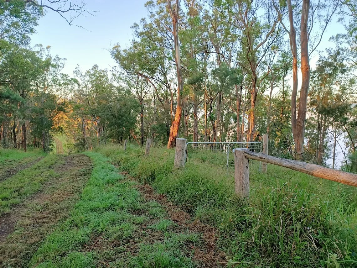 Additional image 21 of 702 Comboyne Road, Byabarra NSW 2446
