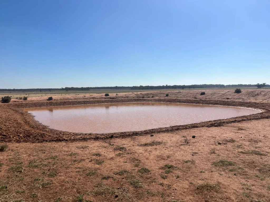 Additional image 5 of 603 Charcoal Tank Road, West Wyalong NSW 2671