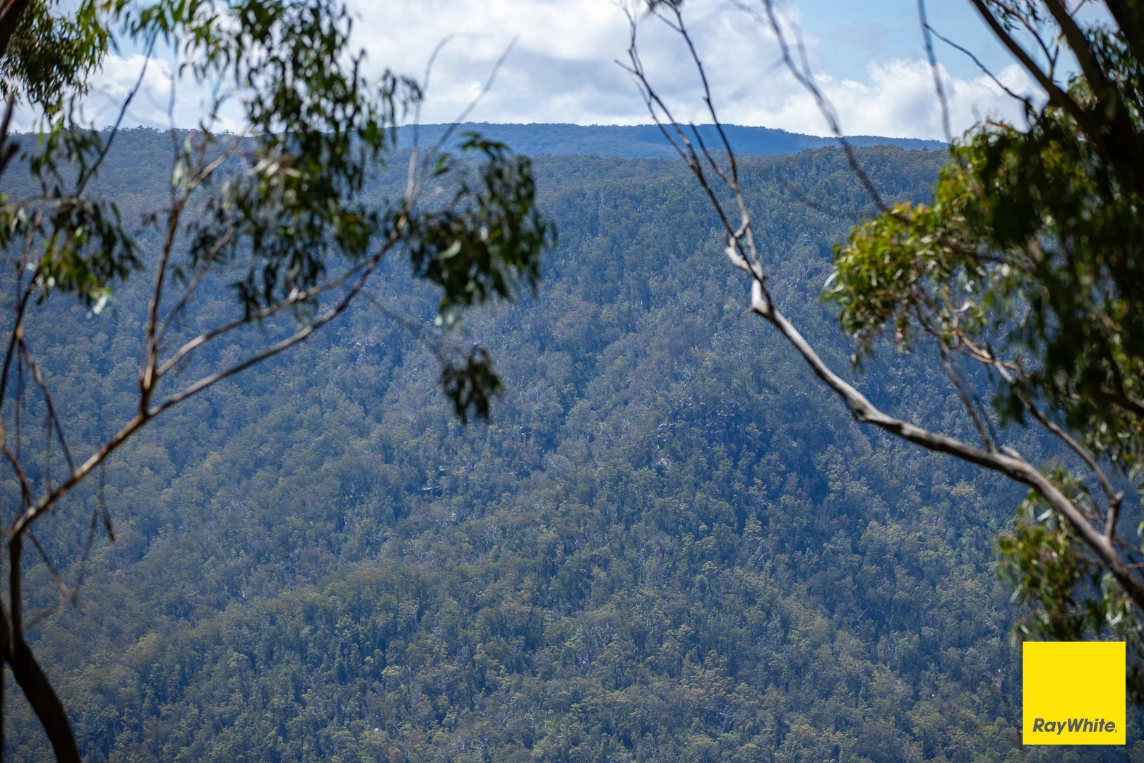 Additional image 3 of Lower Creek NSW 2440