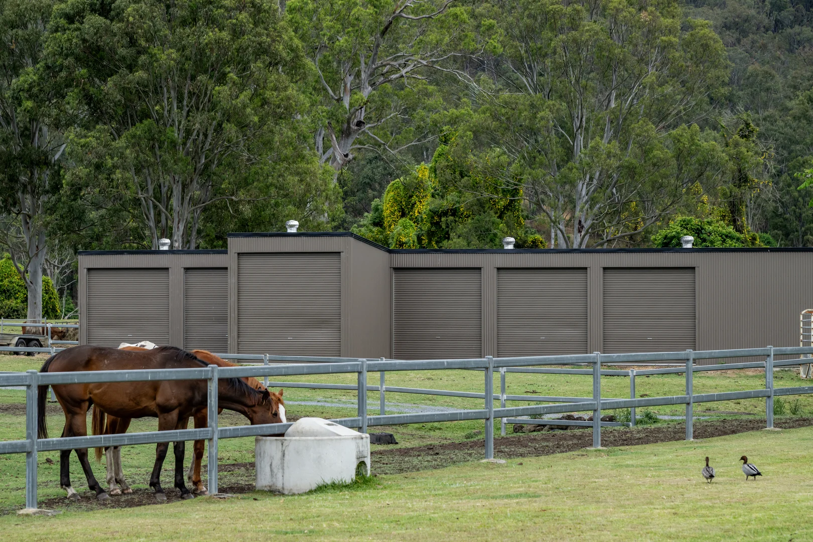 Additional image 22 of 2567 Beaudesert Nerang Road, Benobble QLD 4275