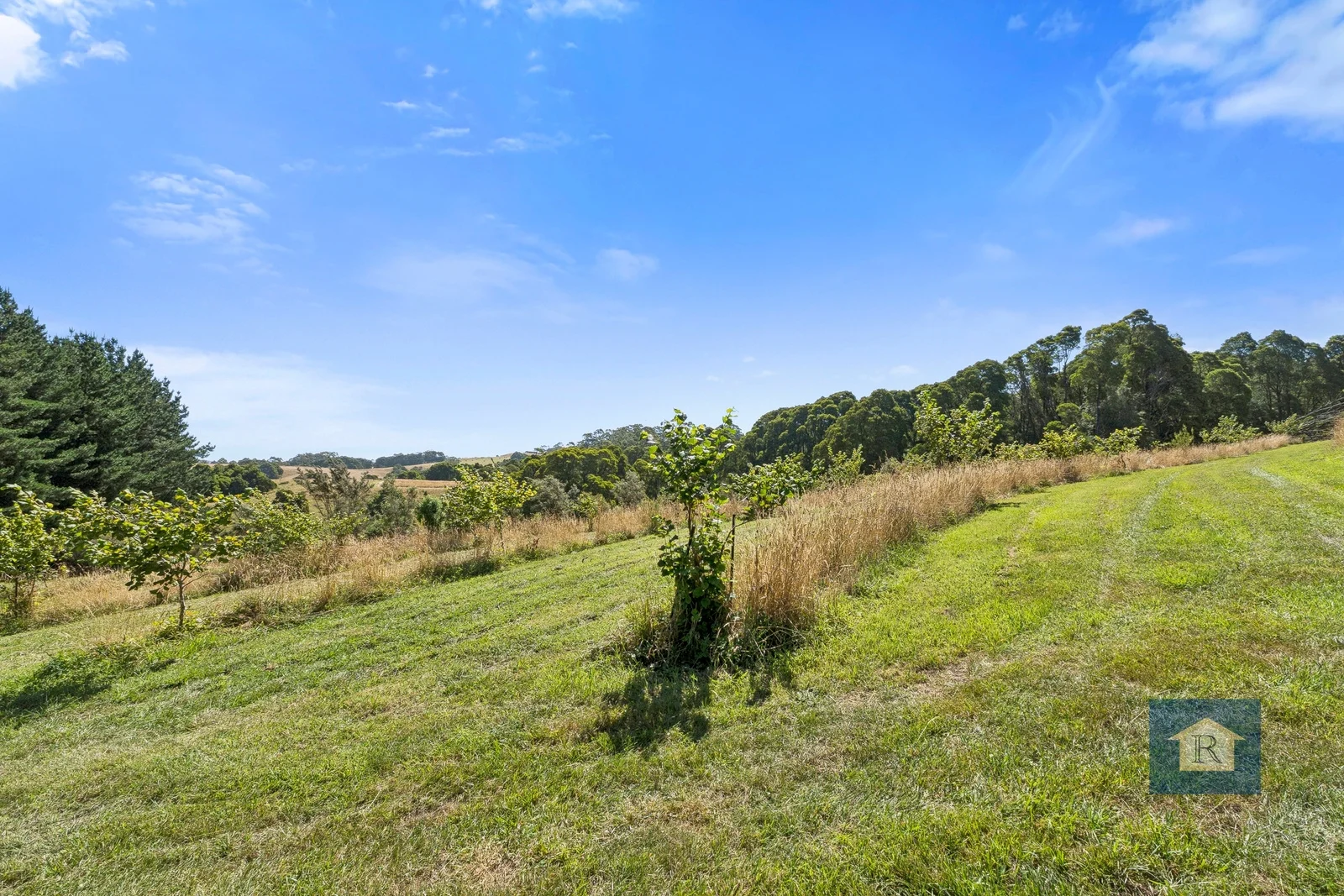 Additional image 21 of 22 Old Main Road, Beech Forest VIC 3237