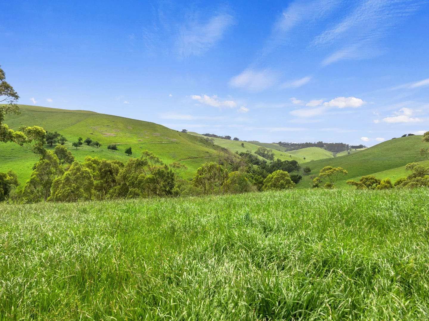 Additional image 12 of 1096 Grantville - Glen Alvie Road, Almurta VIC 3979