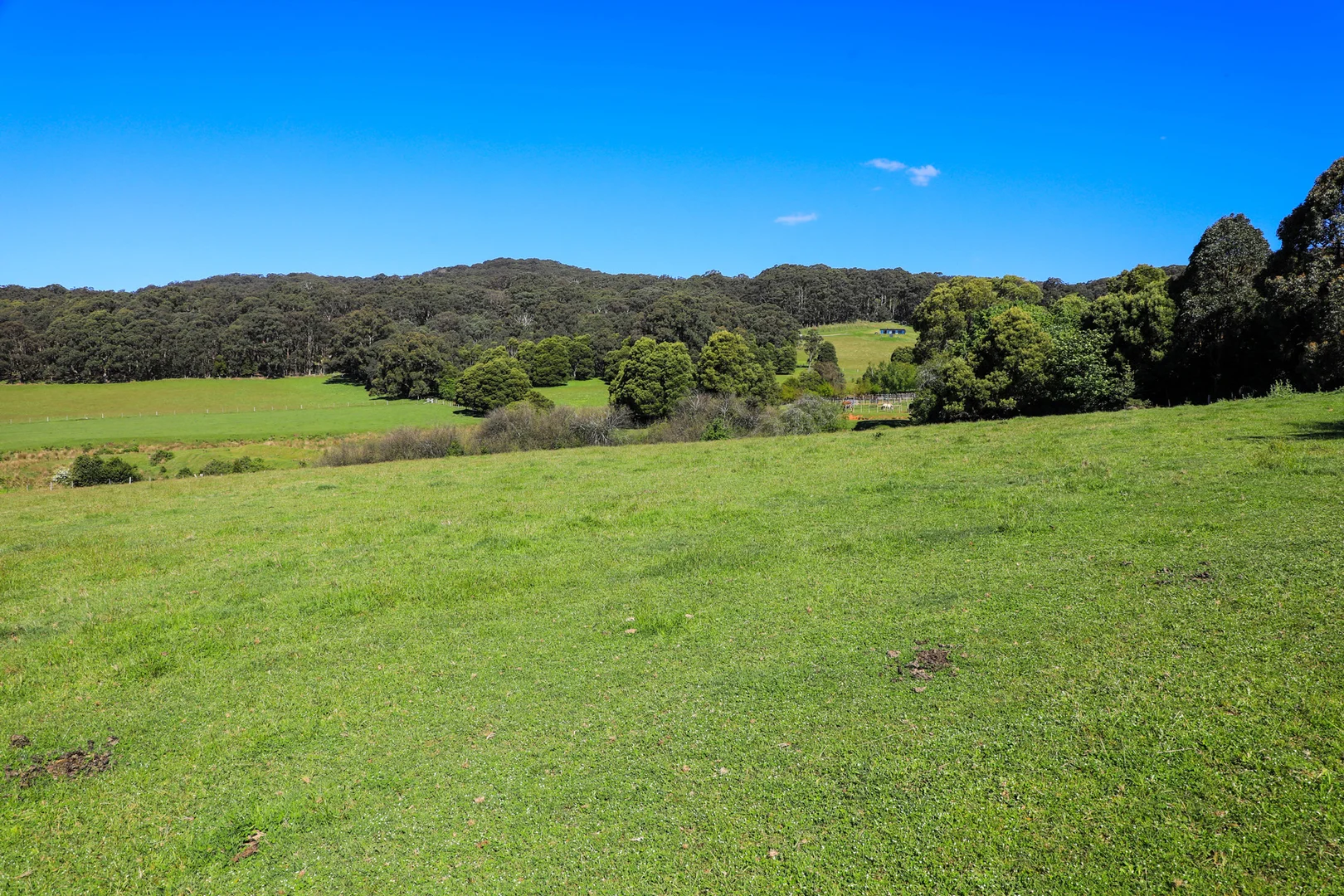 Additional image 3 of 154 Straws Lane, Hesket VIC 3442