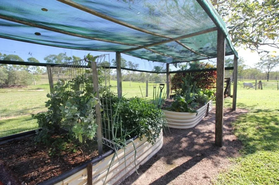 Additional image 26 of 4280 Lowmead Road, Berajondo QLD 4674