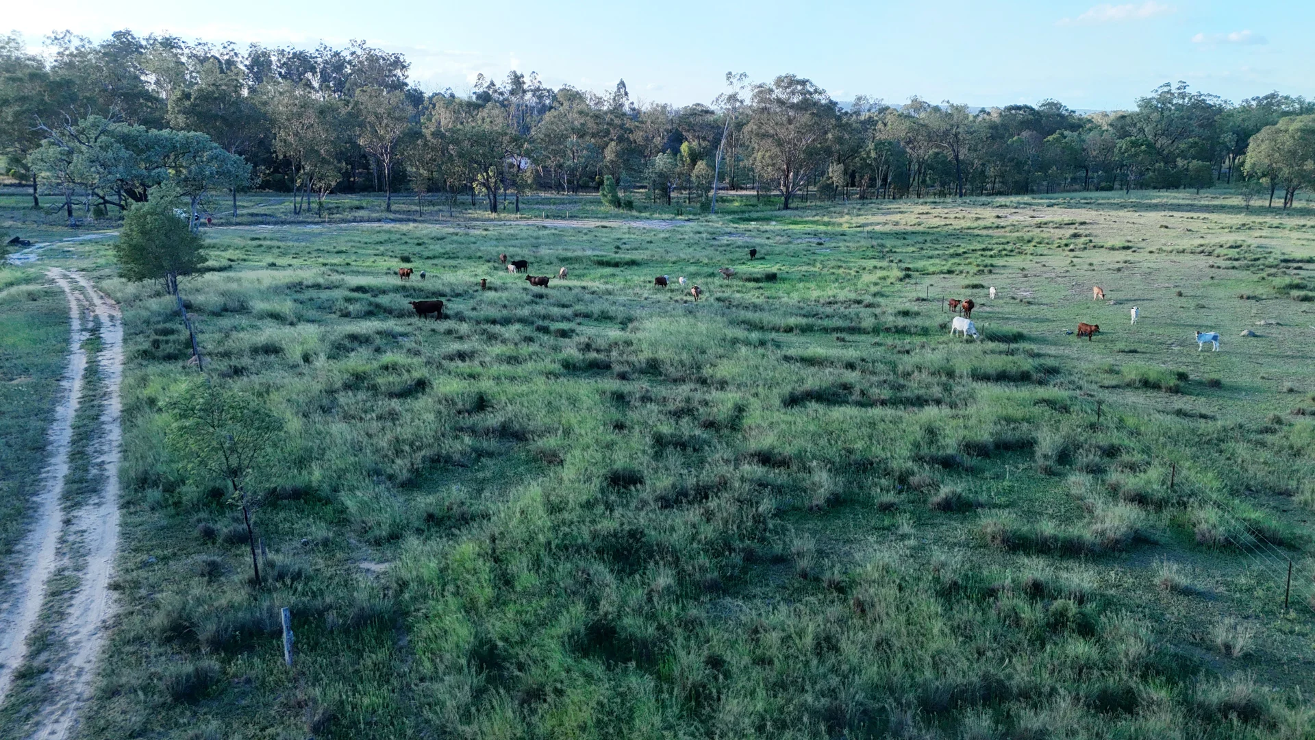 Additional image 6 of 24754 Burnett Highway, Ceratodus QLD 4627