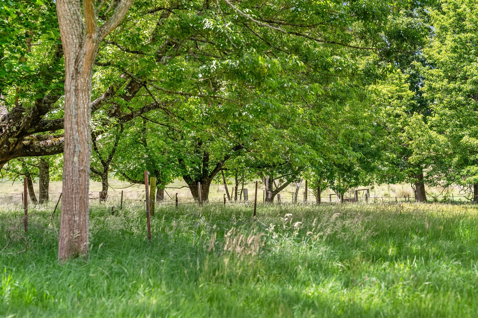 Additional image 15 of 697 Nowra Road, Moss Vale NSW 2577