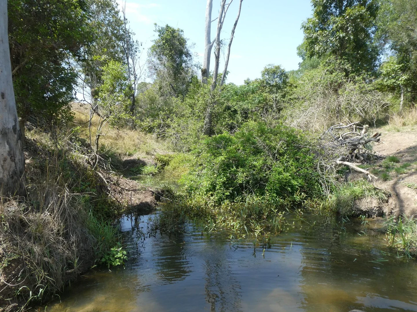 Additional image 18 of 35 Mahoneys Road, Bucca QLD 4670
