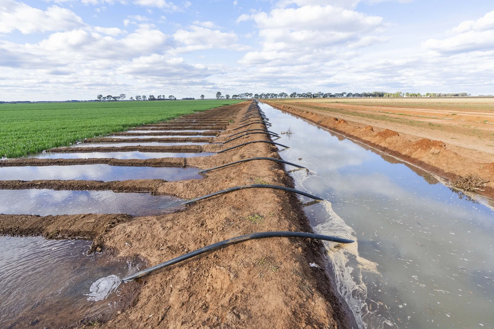 Glenn Road, Coleambally NSW 2707