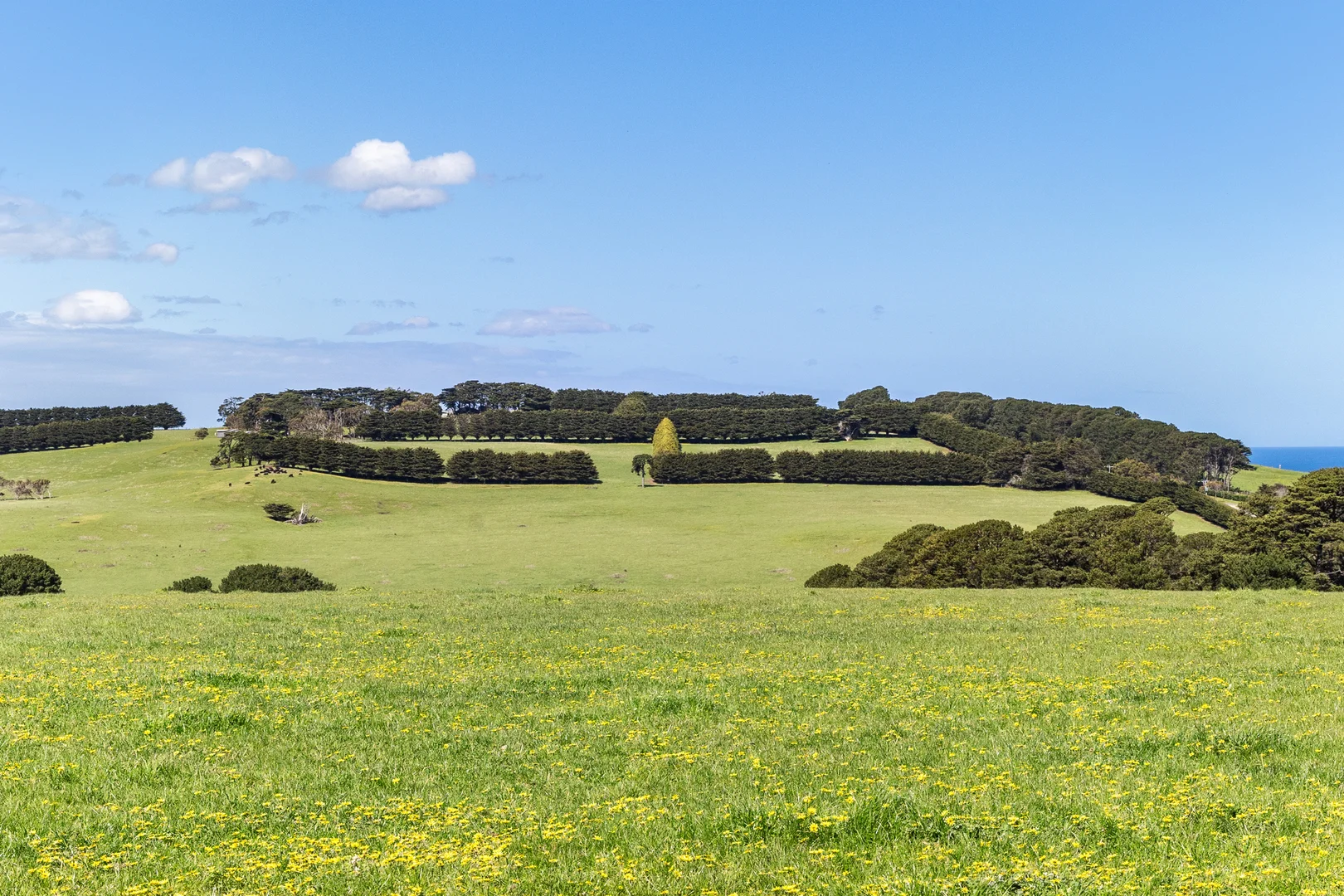 Additional image 5 of 1597 Boneo Road, Flinders VIC 3929