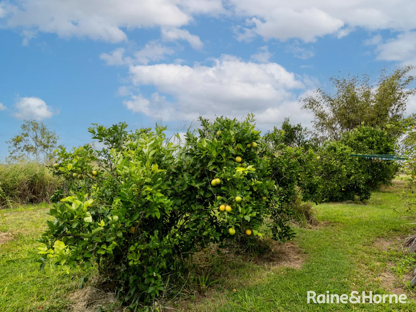 Additional image 11 of 158 River Road, Fairymead QLD 4670