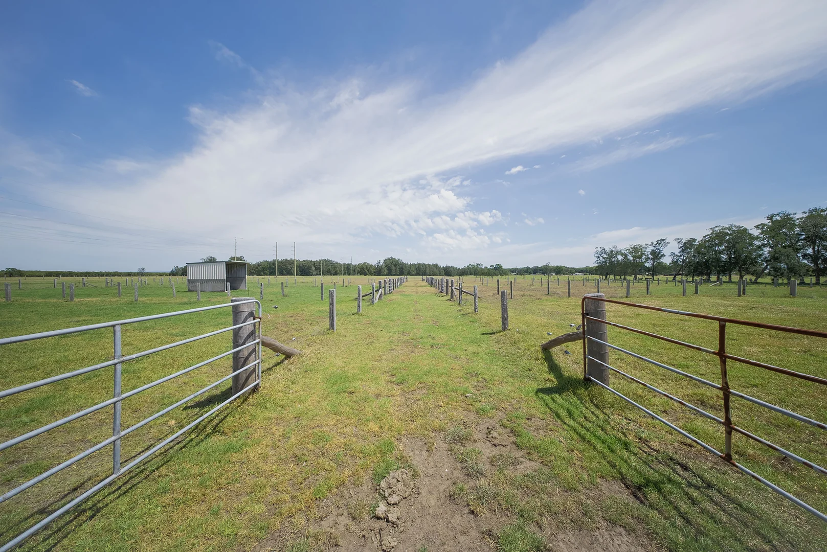 Additional image 21 of 285 Cabbage Tree Road, Williamtown NSW 2318