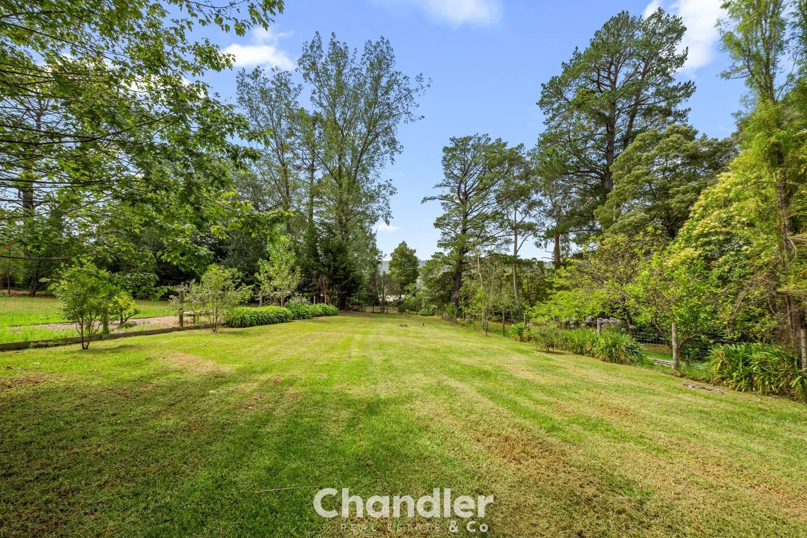 Additional image 16 of 3 Lockwood Road, Belgrave Heights VIC 3160