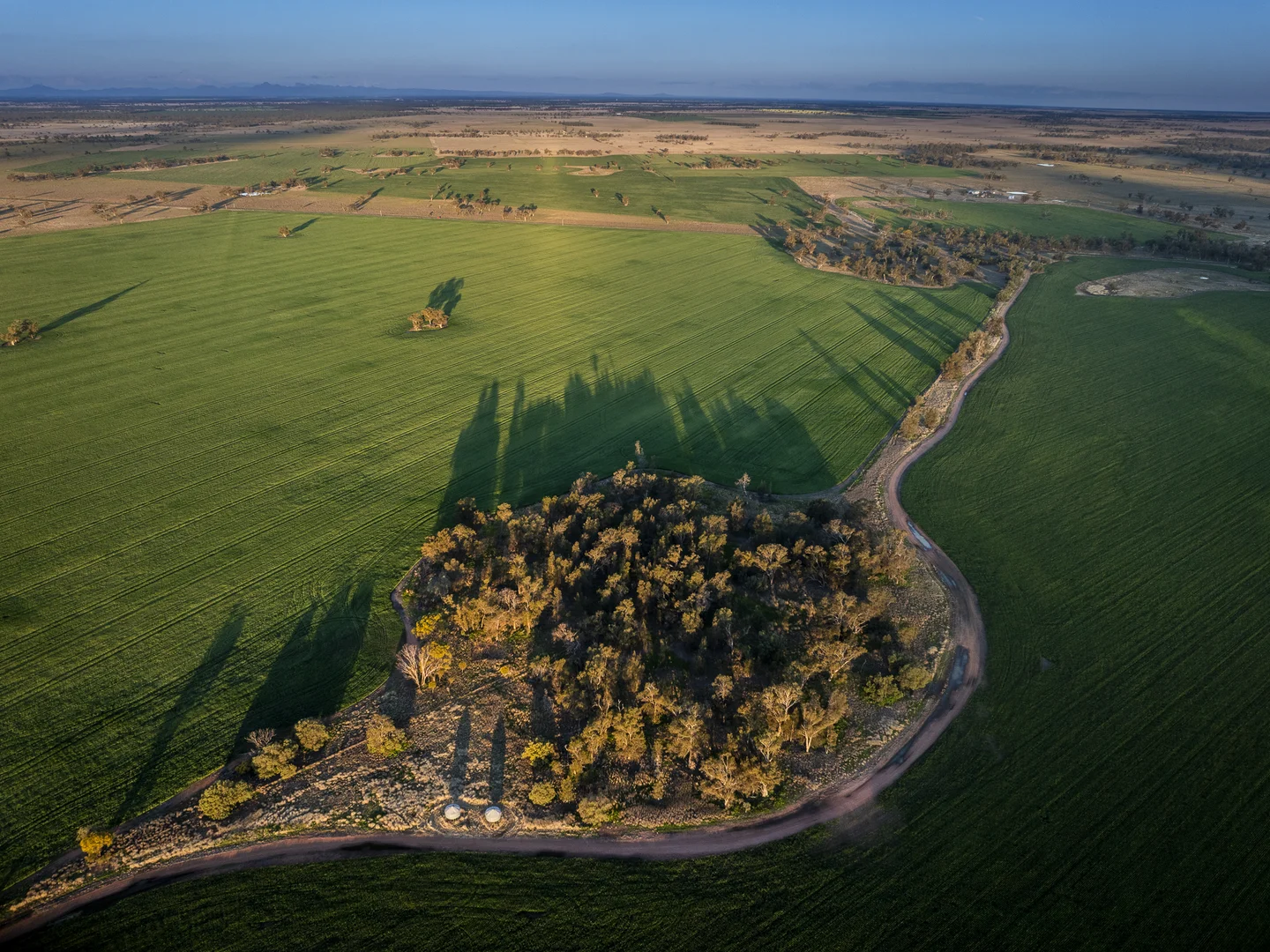 Additional image 3 of Bourbah 2598 Warren Road, Gulargambone NSW 2828