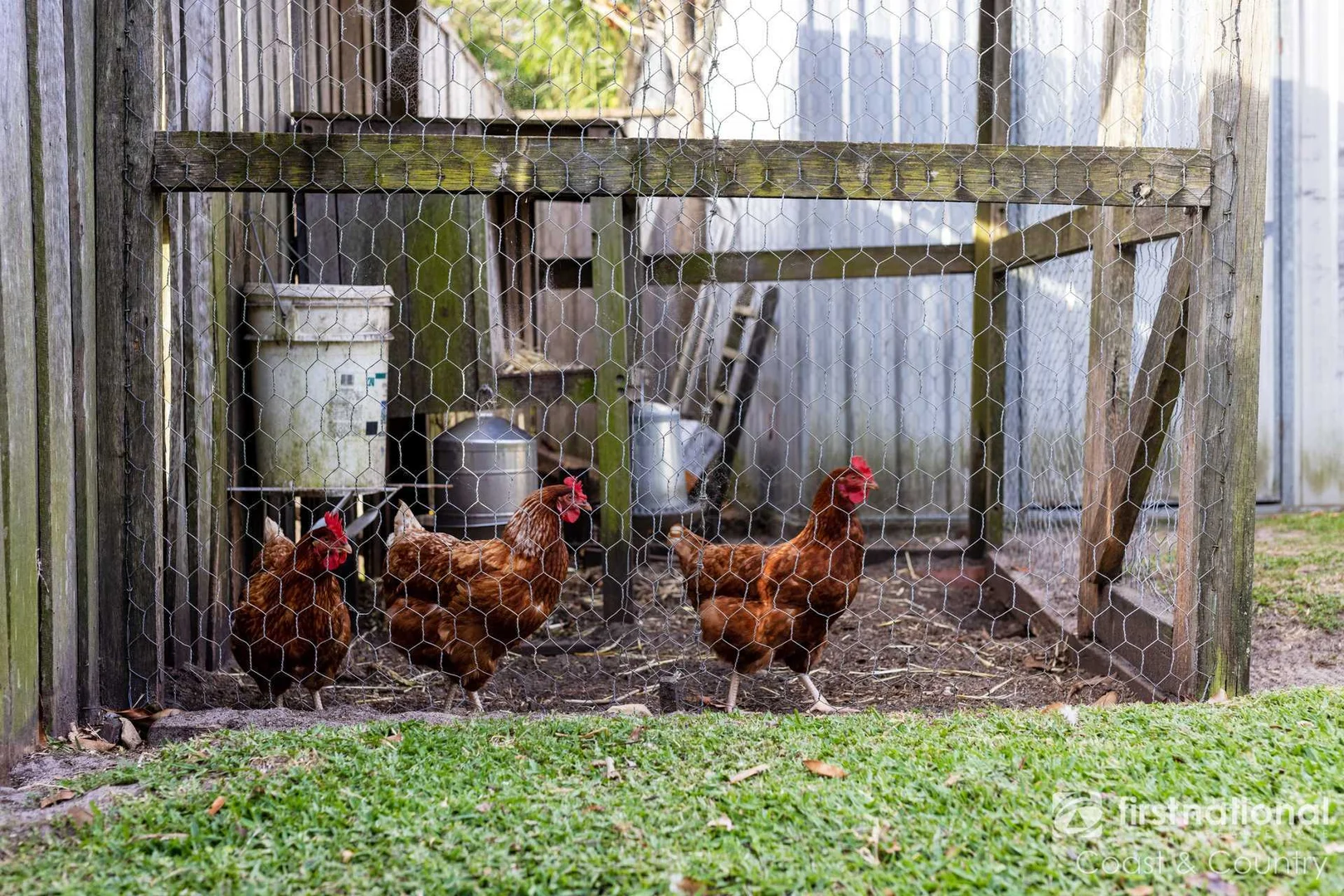 Additional image 17 of 55 Renfrew Road, Werri Beach NSW 2534