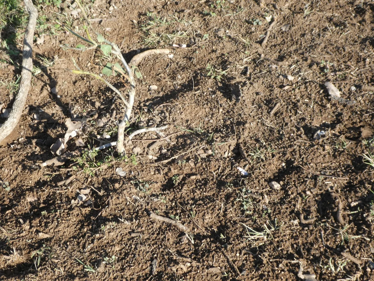 Additional image 15 of Lot 24 Gayndah Mount Perry Road, Mount Steadman QLD 4625