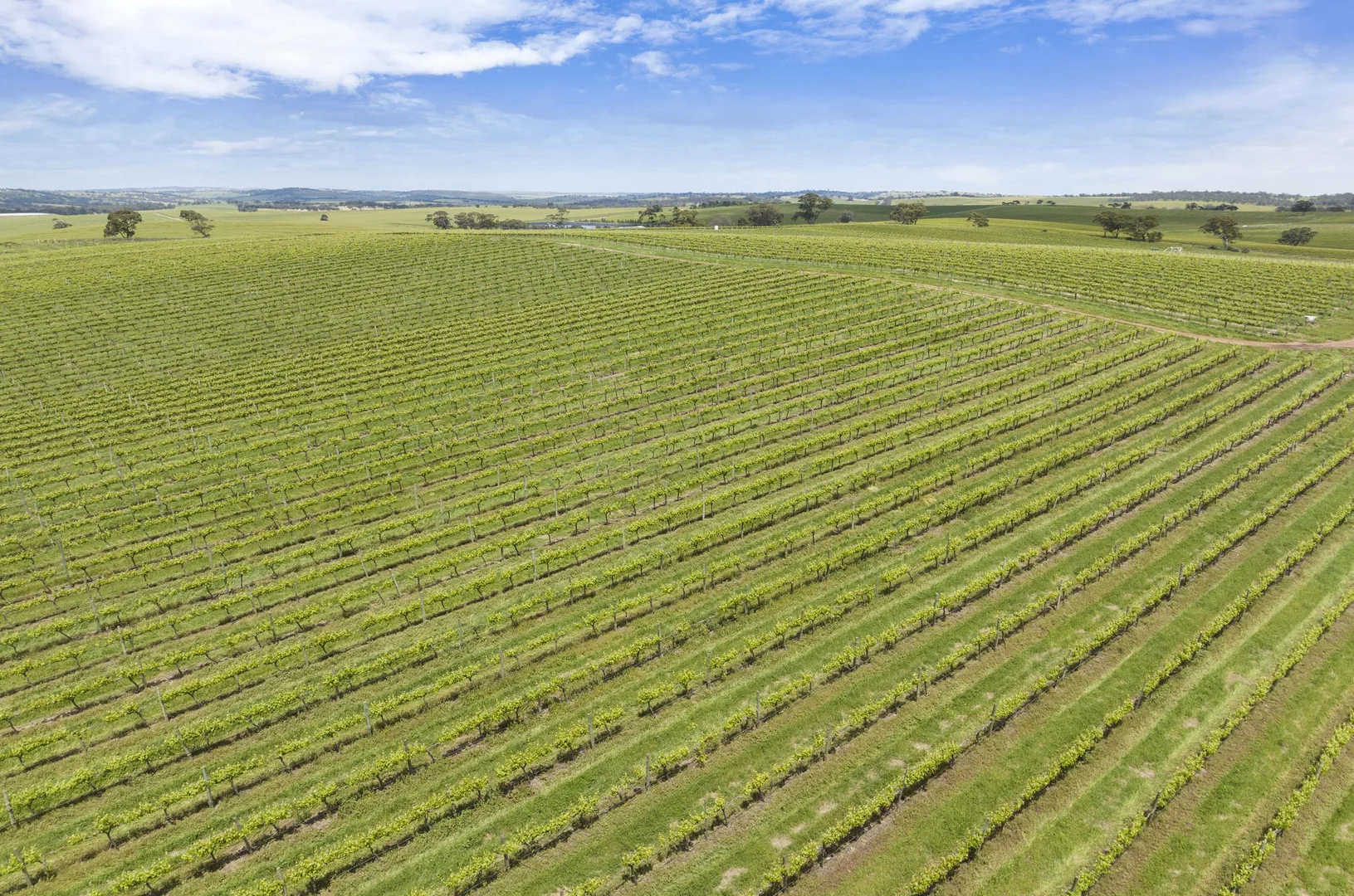 Additional image 2 of Lot 54 Tank Road, Auburn SA 5451