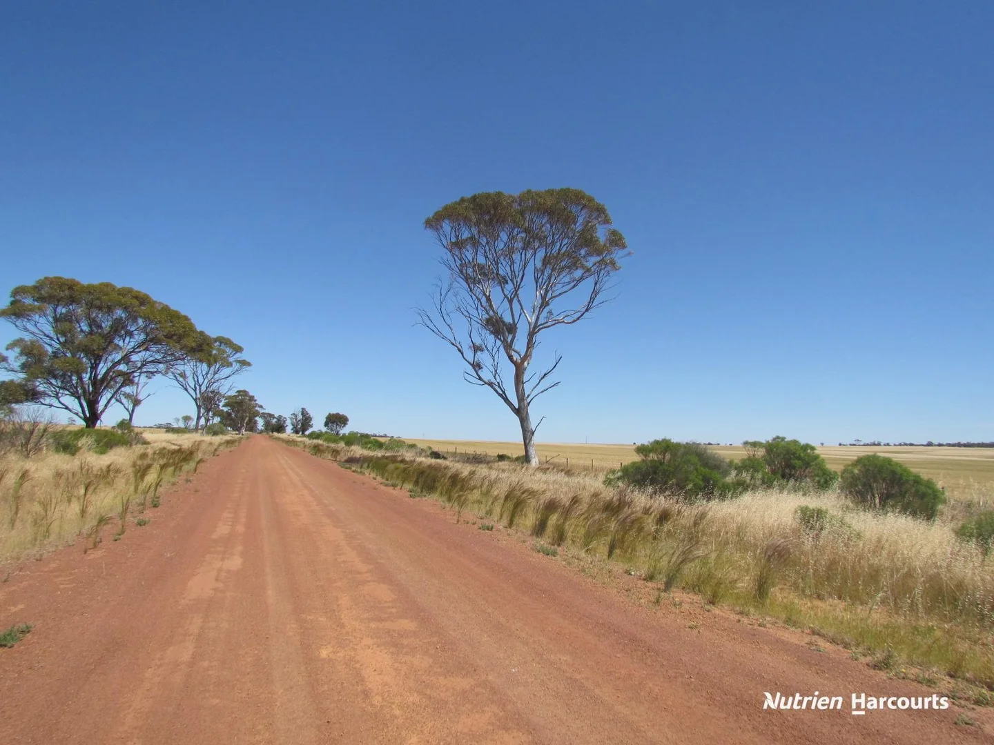 Additional image 7 of 23924 Great Northern Highway, Nugadong WA 6609