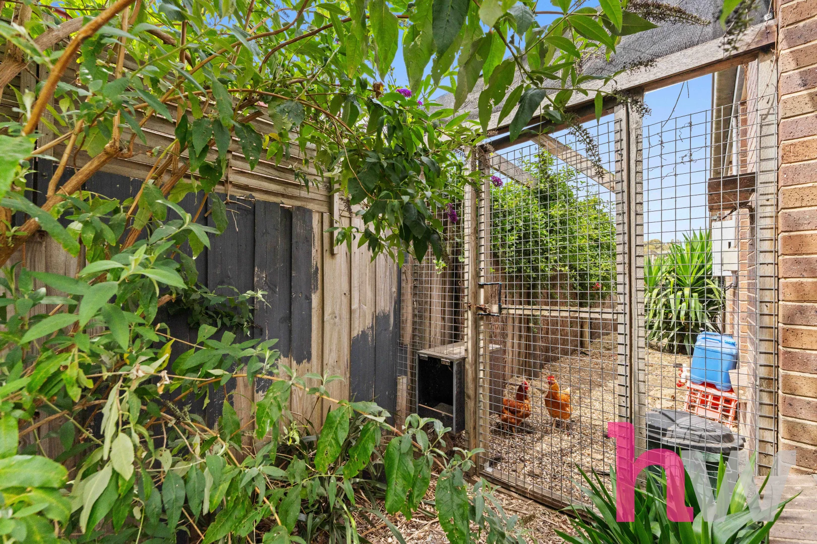 Additional image 26 of 23 Daintree Drive, Winchelsea VIC 3241