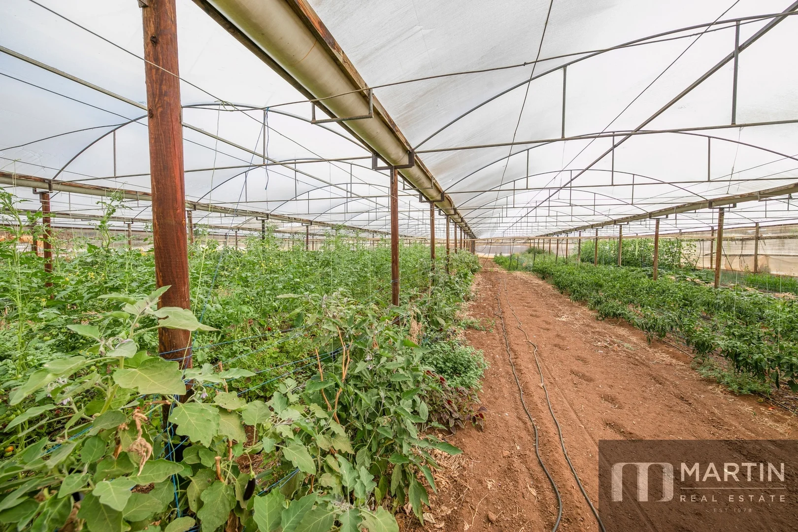 Additional image 33 of 460 Womma West Road, Penfield Gardens SA 5121