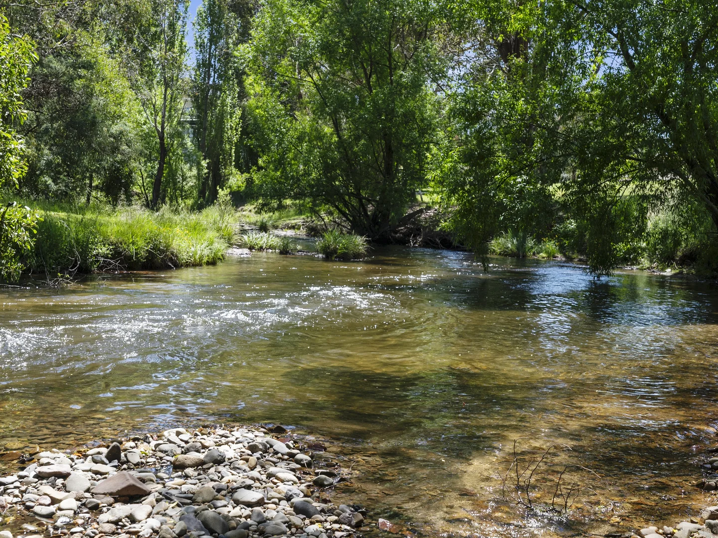 Additional image 19 of 8 Merrijig Place, Merrijig VIC 3723