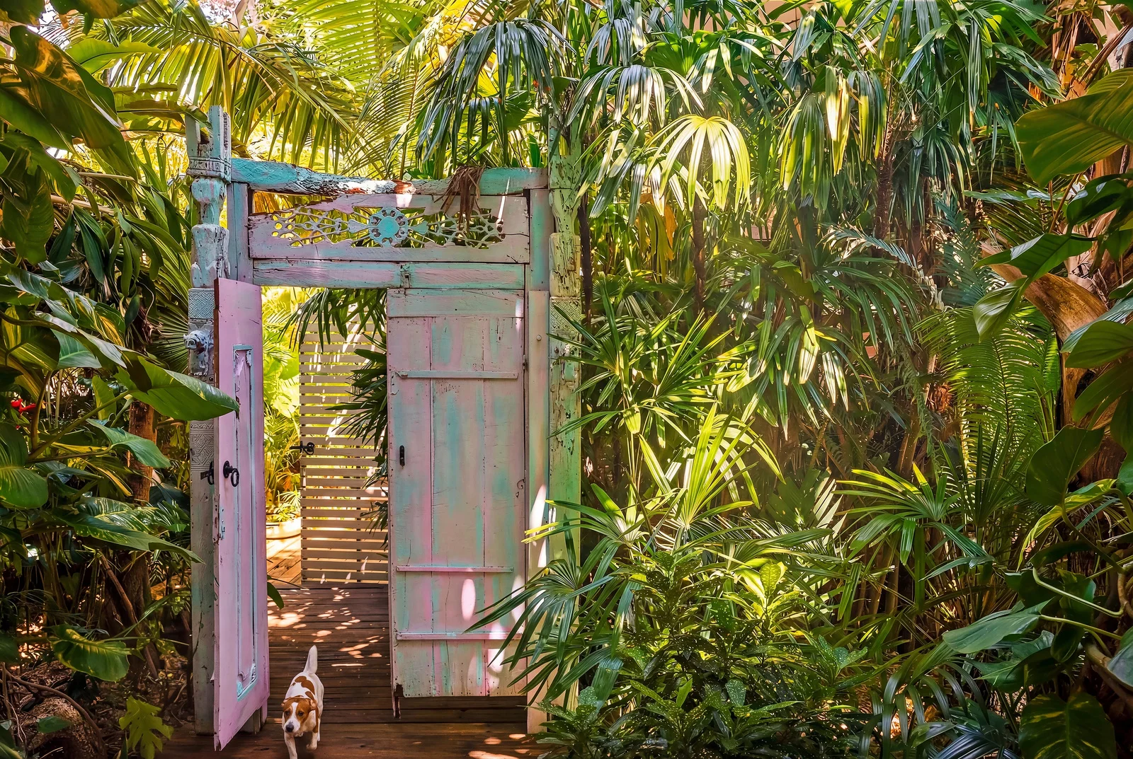 Additional image 2 of 1001 Gold Coast Highway, Palm Beach QLD 4221