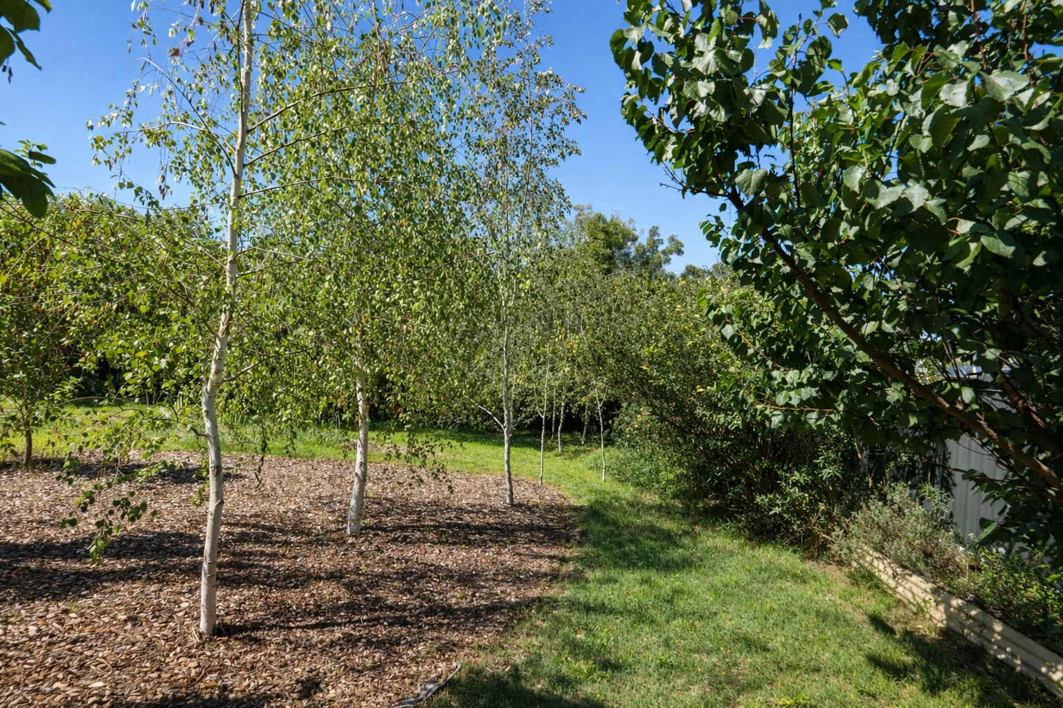 Additional image 27 of 8 McKell Street, West Bathurst NSW 2795