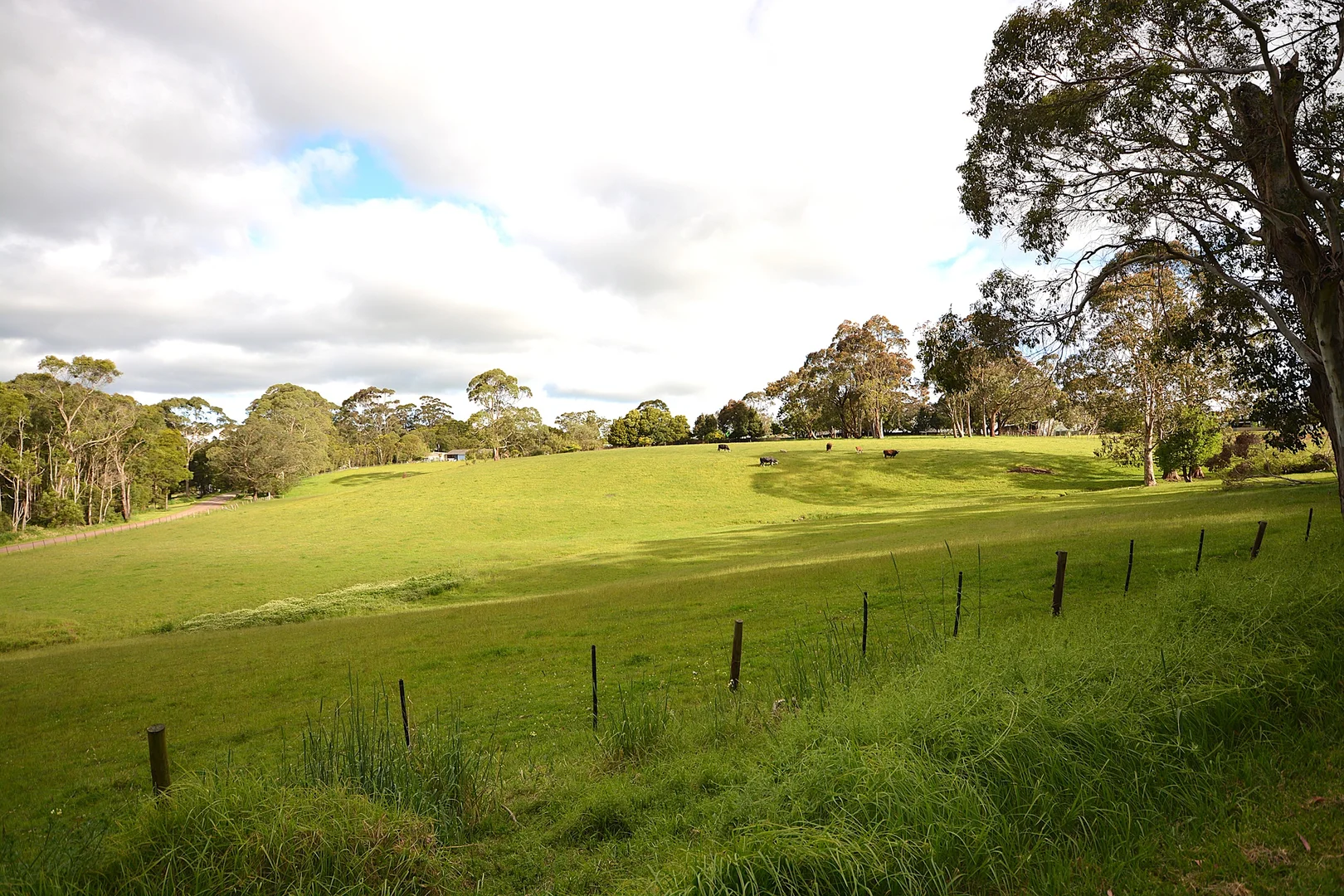 Additional image 5 of 1 Snake Track, Timboon VIC 3268