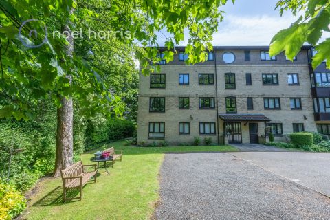 Sandyford Park, Sandyford NE2