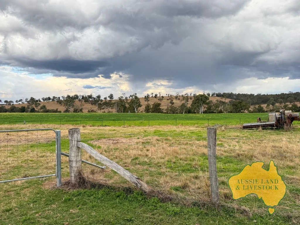 Additional image 49 of 250 Heights Road, Nanango QLD 4615