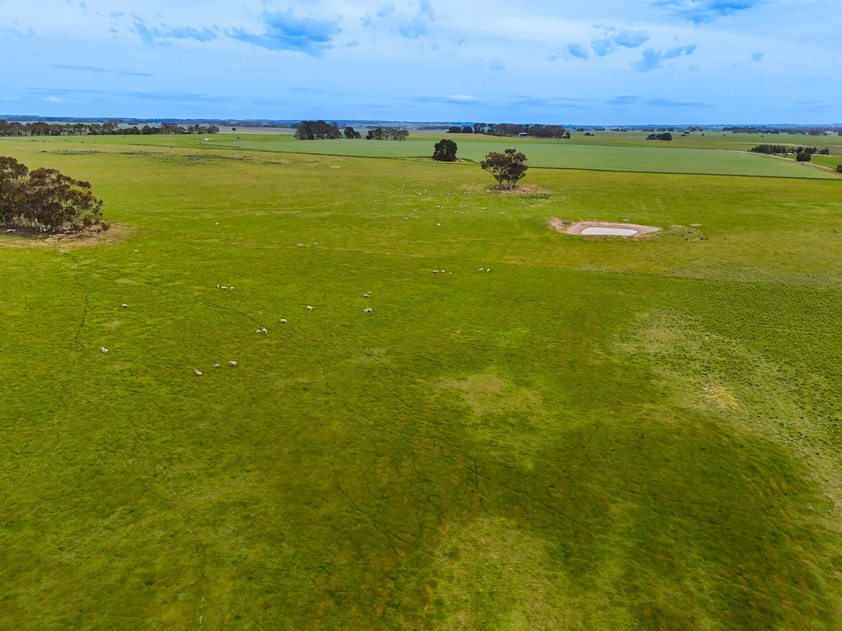 Additional image 13 of Huf's Back Lane, Warrayure VIC 3301