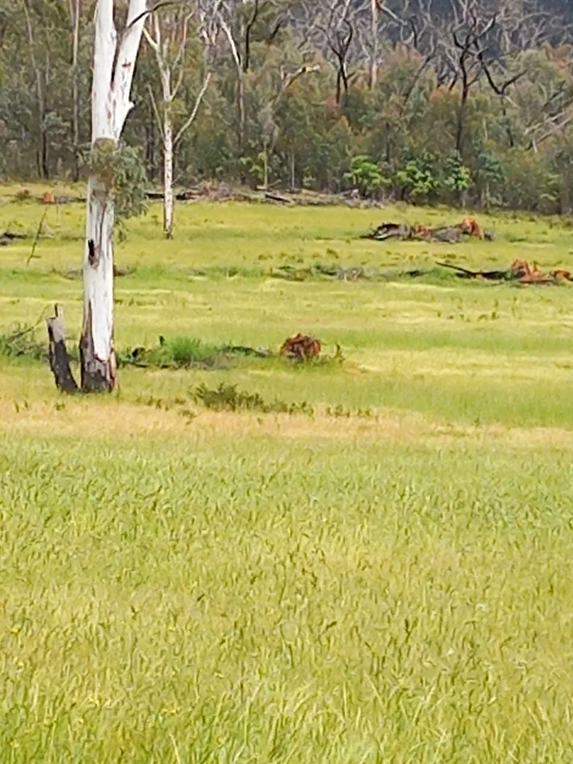 Additional image 4 of Lot 10/714 Yenschs Road, Lankeys Creek NSW 2644