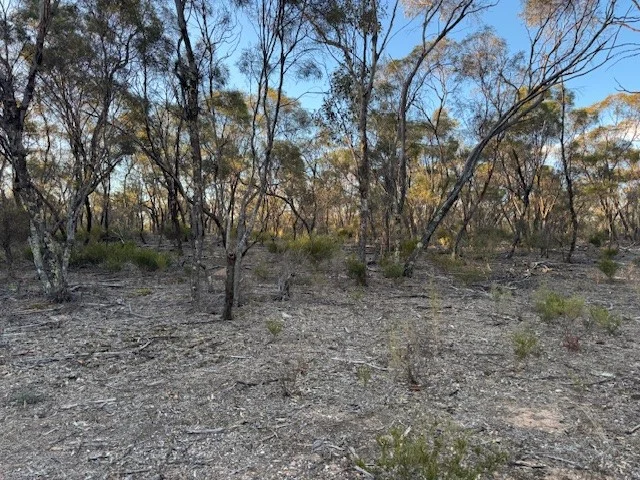 Additional image 6 of CA/24 Calder Highway, Wedderburn VIC 3518