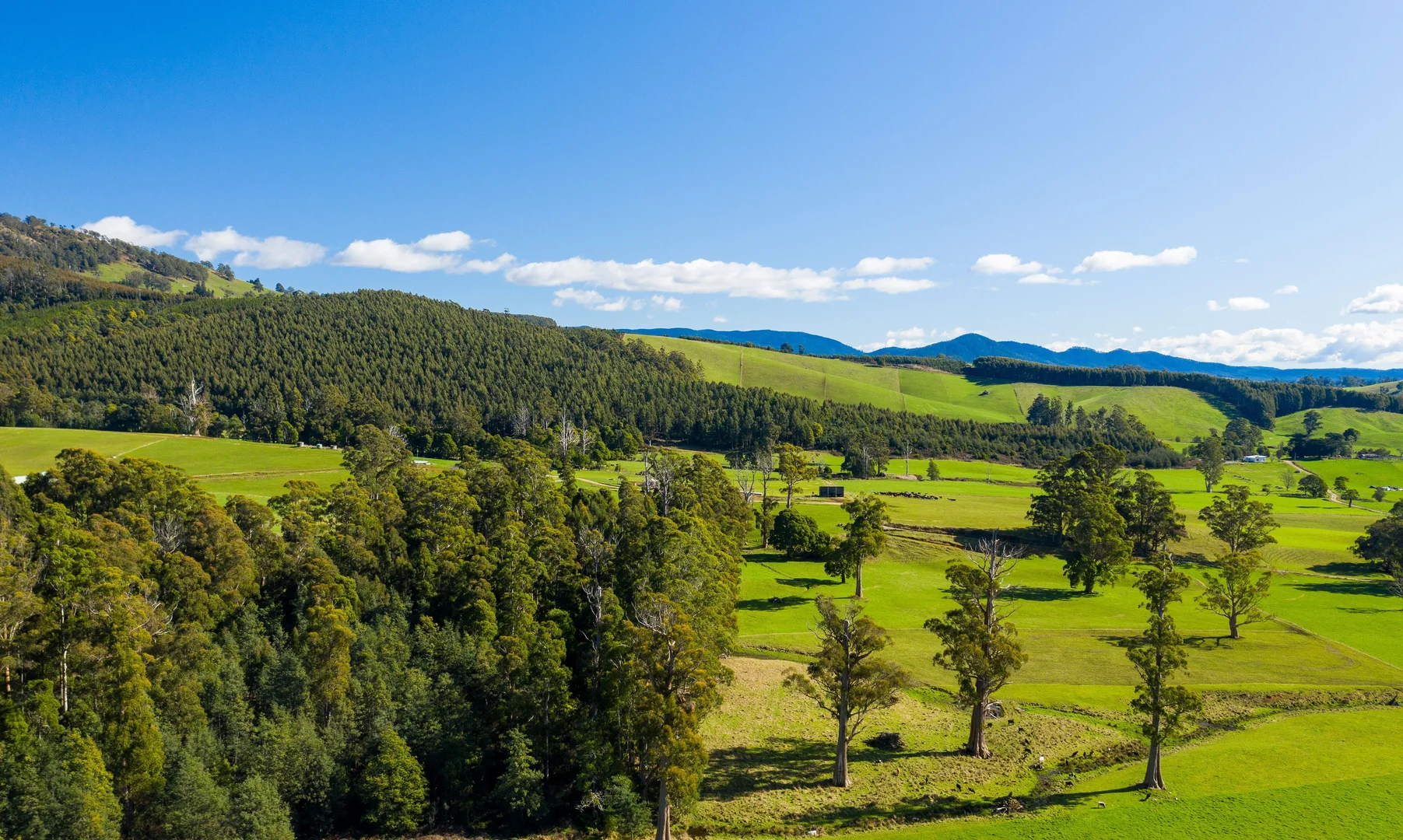 Additional image 33 of Alberton TAS 7263