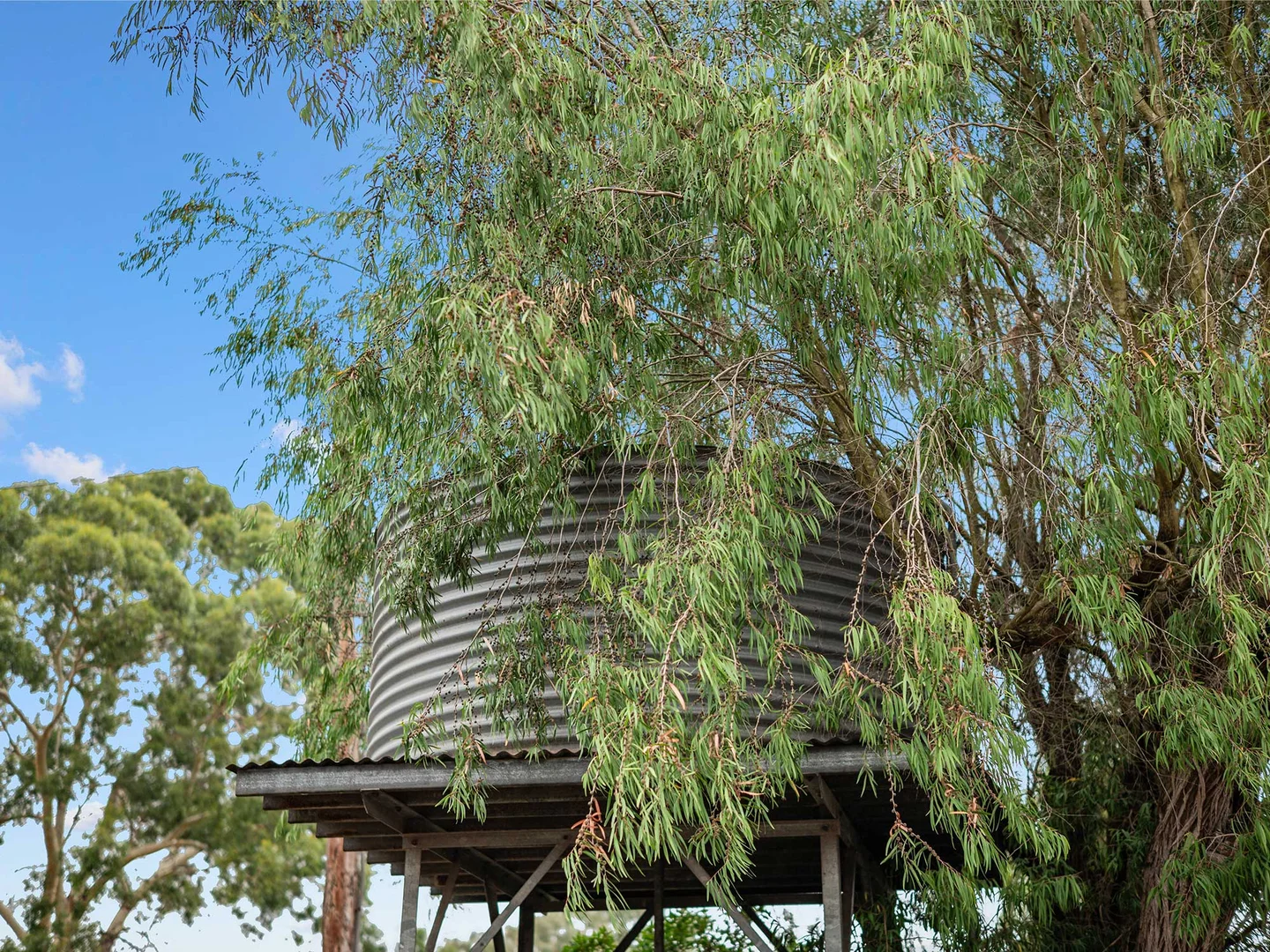 Additional image 28 of 21 French Street, Penshurst VIC 3289