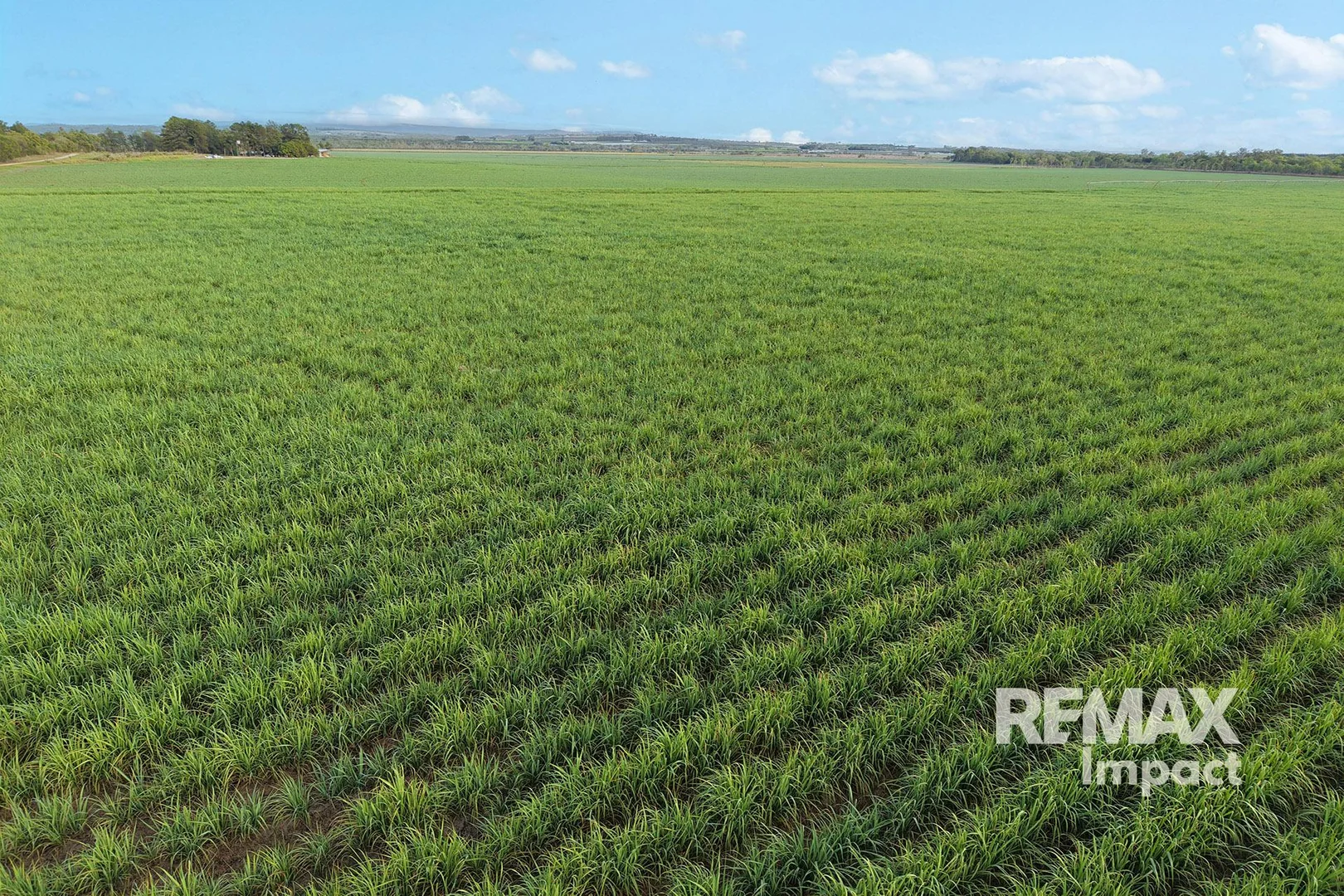 Additional image 5 of 87 Chettle Road, Arriga QLD 4880