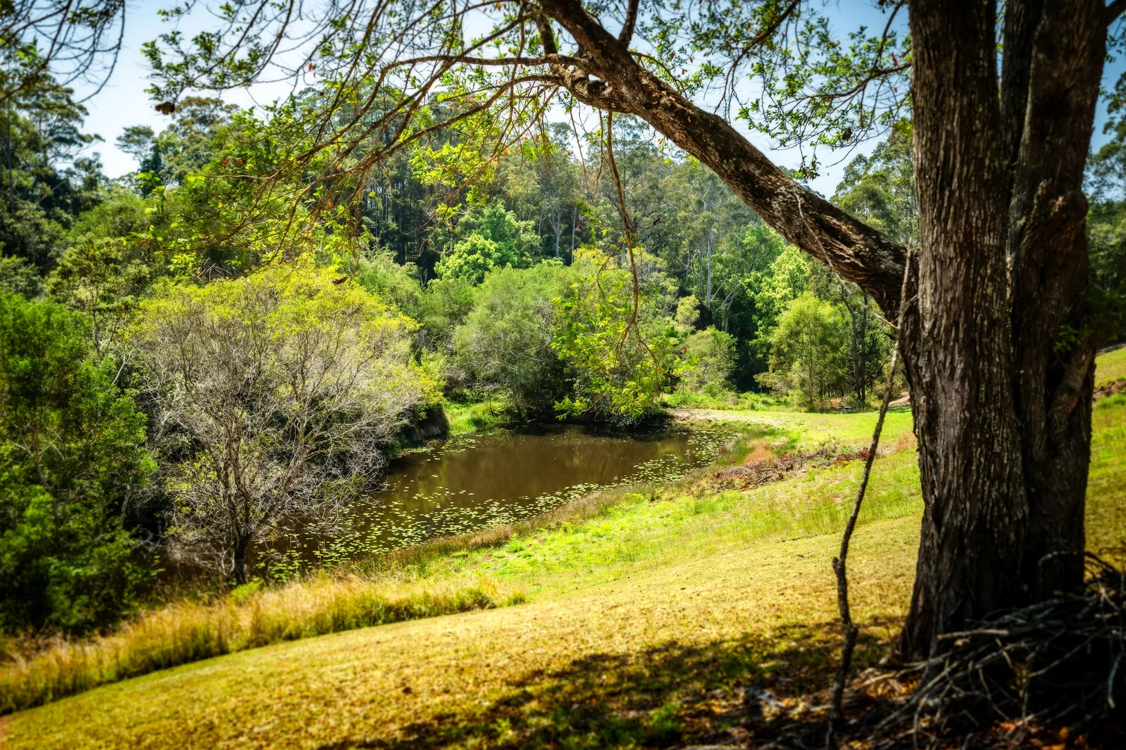 Additional image 7 of 71 Pulsford Place, Fernmount NSW 2454